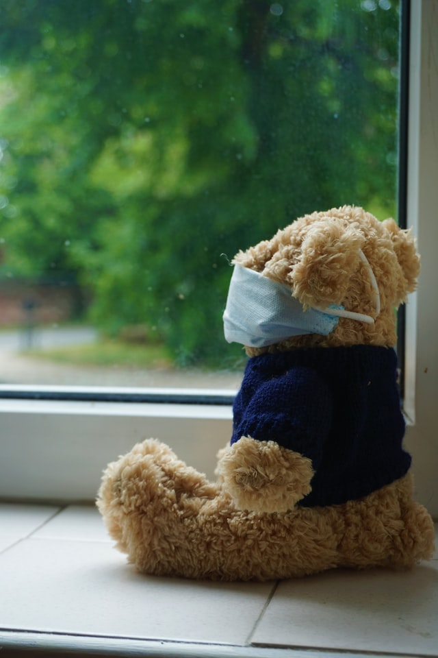 teddy bear with face mask looks out window